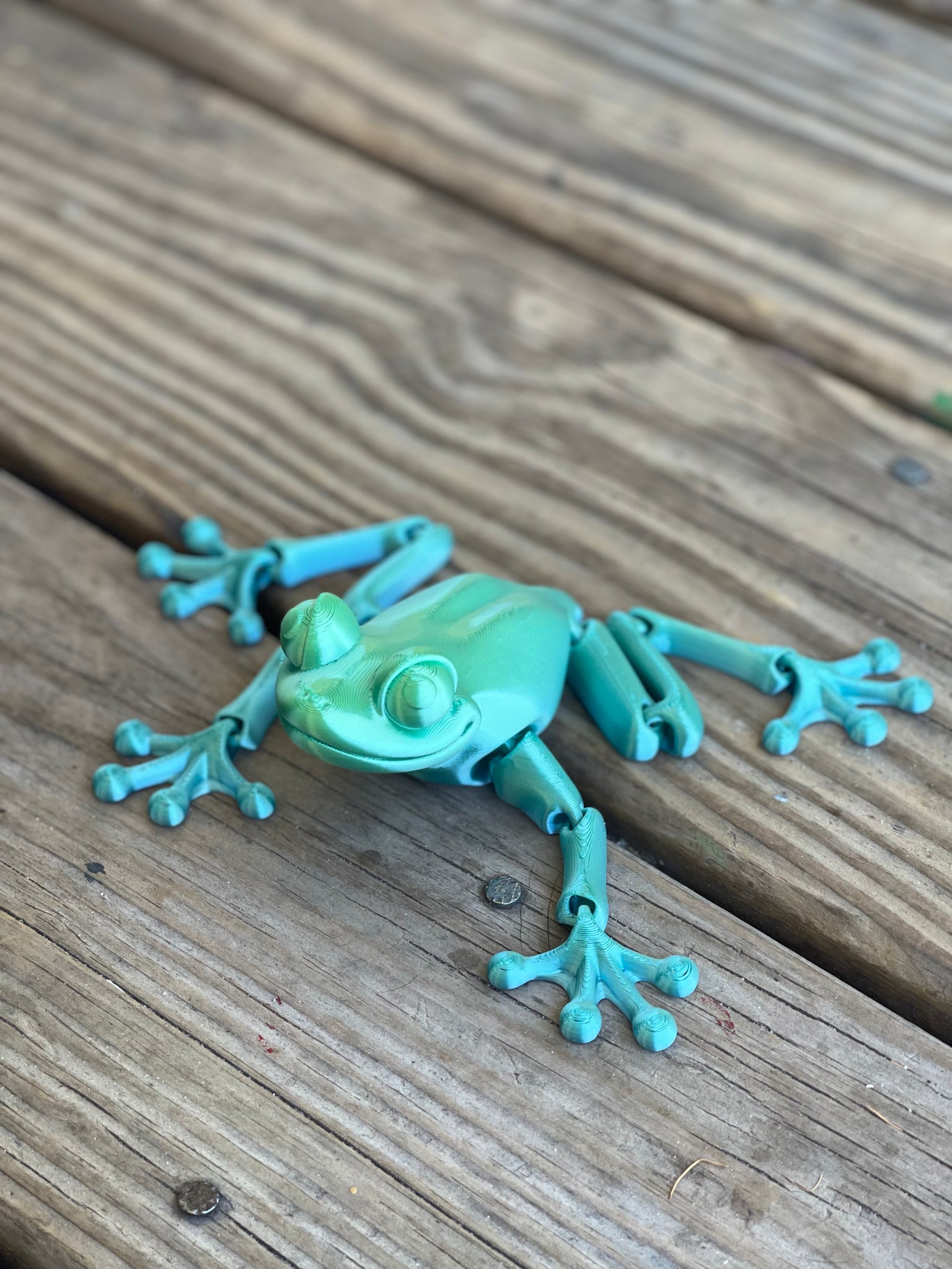 Pilgrim Ride Plaske 3D Printed Frog - Random – TreeHouseCustoms