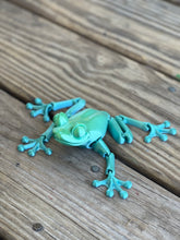 3D Printed Frog - Random